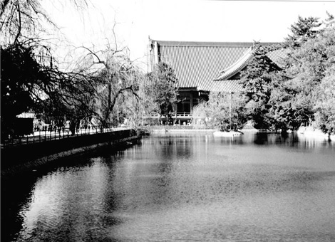 Mishima Jinja shrine pond